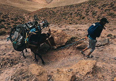 Mountain bike adventure in the Moroccan Atlas with a Swiss Cycling guide