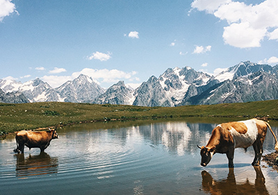 Enduro mountain biking in the Svaneti region