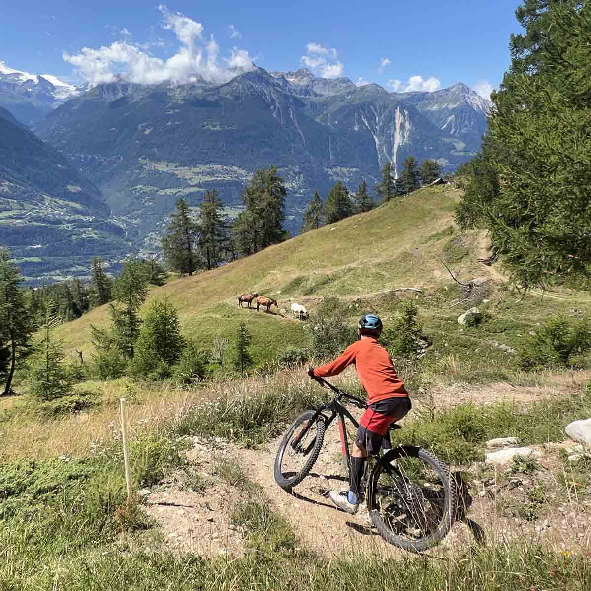 2512-navettes-vtt-enduro-en-haut-valais-region-gampel