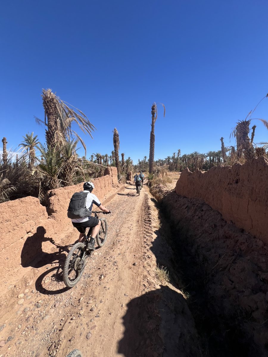 La palmeraie à VTT, VTT et E-Bike au Maroc, du Haut Atlas au désert