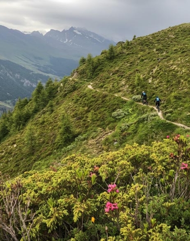 Shuttles | Valais central