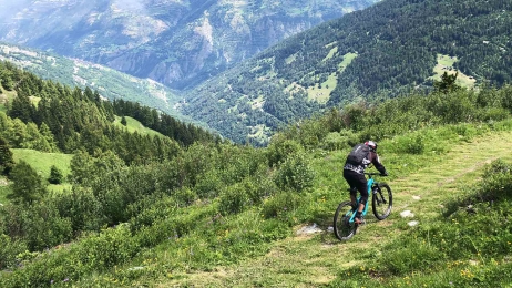 Shuttles | Mittel wallis