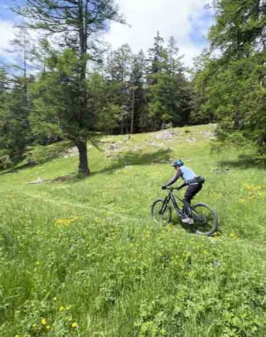 VTT